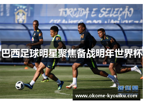 巴西足球明星聚焦备战明年世界杯